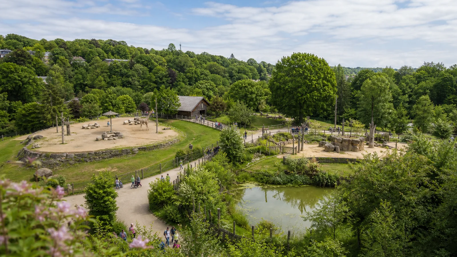 Gruene Zooanlage in Wuppertal mit Teich, Wegen und bewaldetem Hang